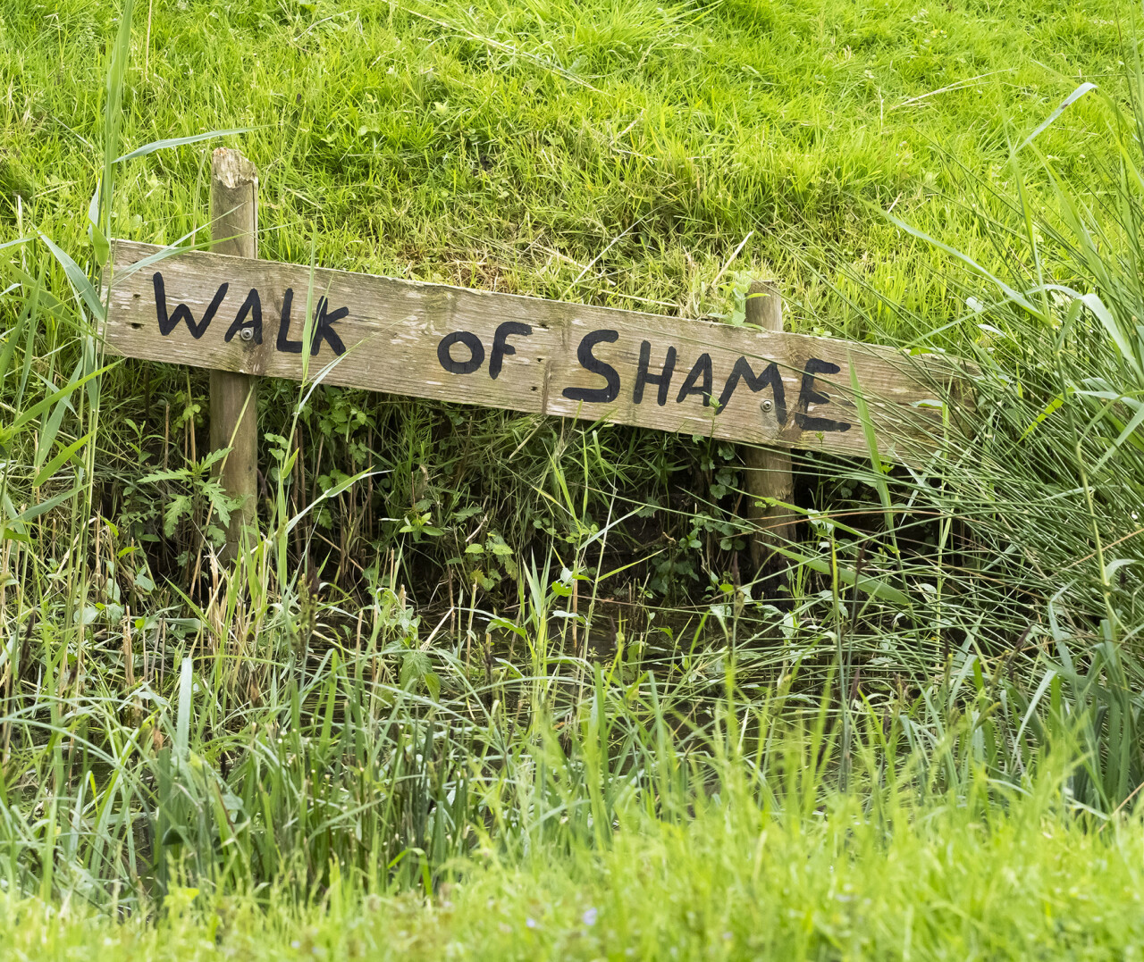 20240515vbobiesbosch04
